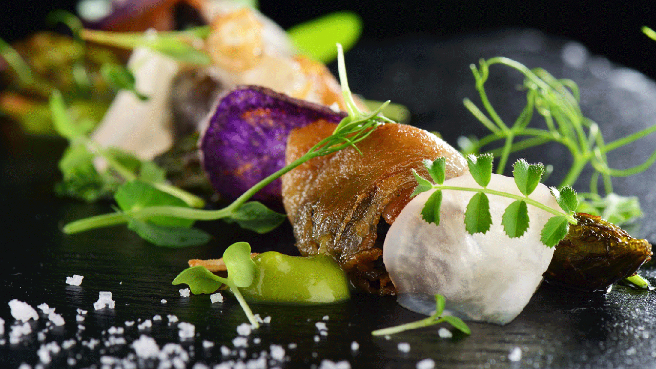 Closeup of gourmet dish